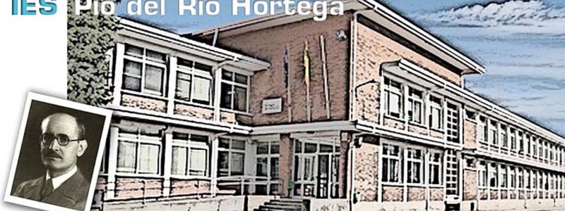 ¿Qué profesor del IES Pío del Río Hortega eres?