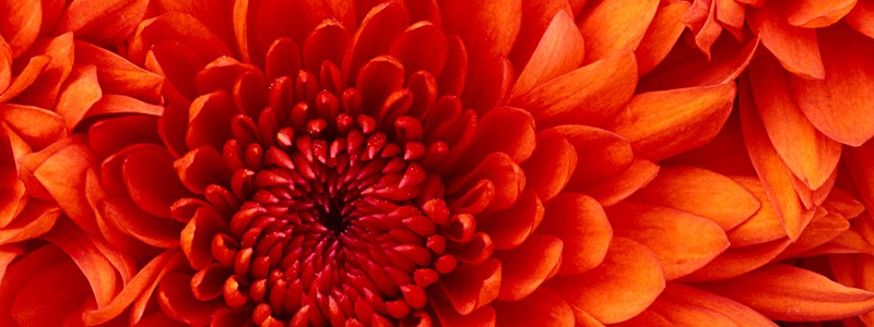 que tan enamorado estas