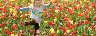 LA PRIMAVERA