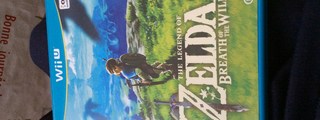 Zelda