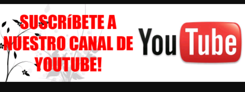 Que youtuber es tu idolo