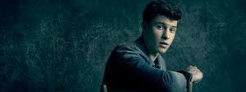 Cuanto sabes de Shawn Mendes?