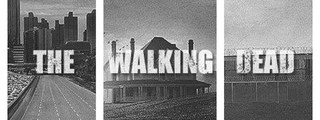 ¿Eres fan de the walking dead? 