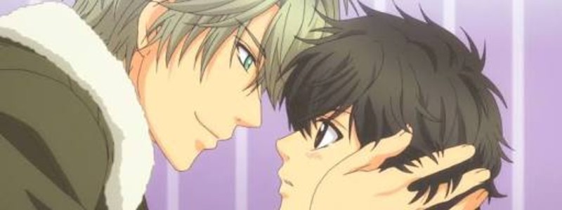 ¿Cuanto sabes de Super lovers?