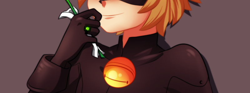 cuanto sabes chat noir 