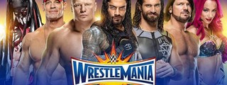 wwe 2017