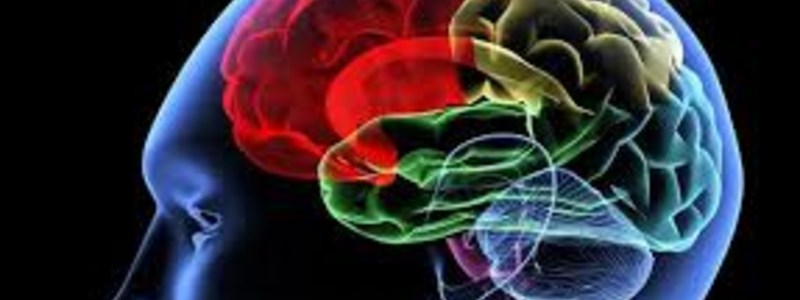 test de inteligencia