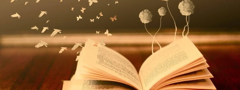 ¿Qué tanto sabes acerca de literatura latinoamericana? Obras, auto