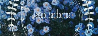 Cuánto sabes de Jacob Sartorius 