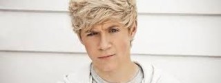 Quin eres de one diractor