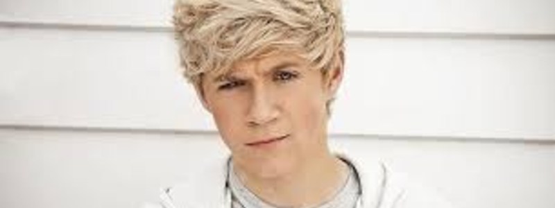Quin eres de one diractor