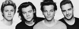 ¿Quién sería tu chico ideal de 1D?.