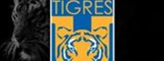 cuanto sabes de tigres