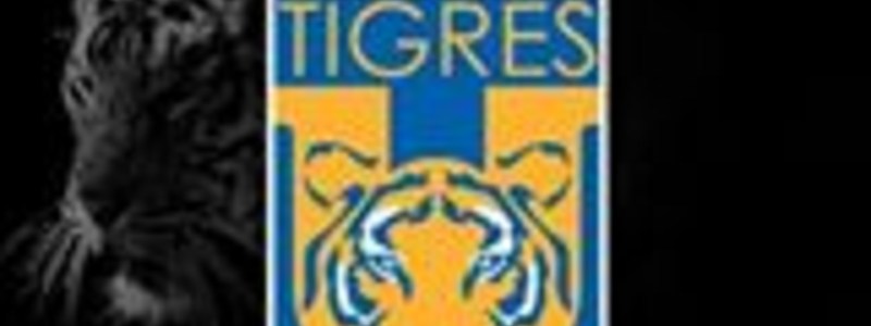 cuanto sabes de tigres