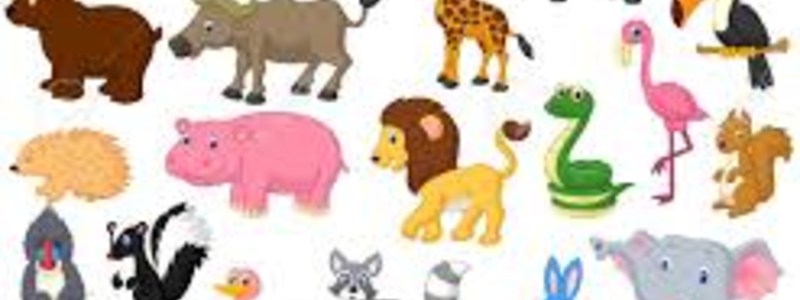 Que clase de animal eres segun tu personalidad 