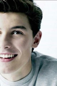 Cuanto sabes de shawn mendes