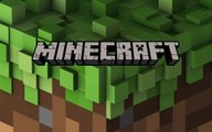 cuanto sabes de minecraft