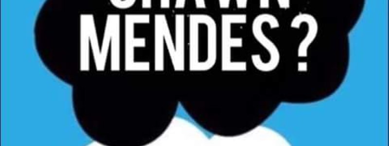 Quien es una Mendes Army en verdad