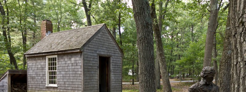 ¿Qué personaje de Walden eres?