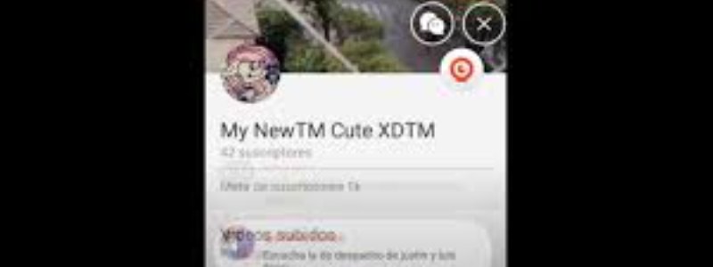 Cuanto saves de My NewTM Cute XDTM??