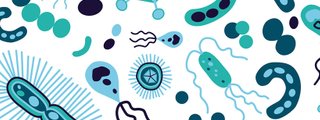 Parasitología (protozoarios y platelmintos)