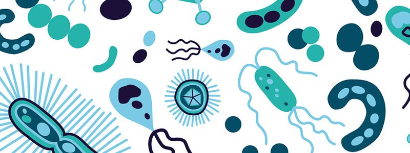Parasitología (protozoarios y platelmintos)