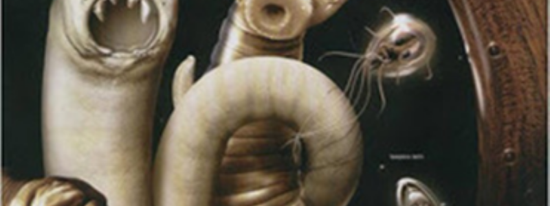 Parasitología (Nematodos y acantocéfalos)
