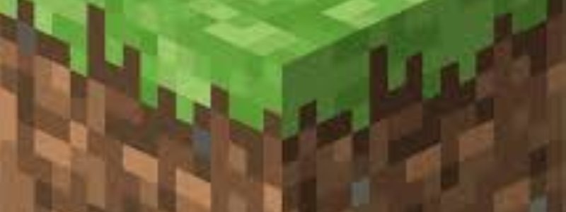 ¿Que tanto sabes de MINECRAFT?