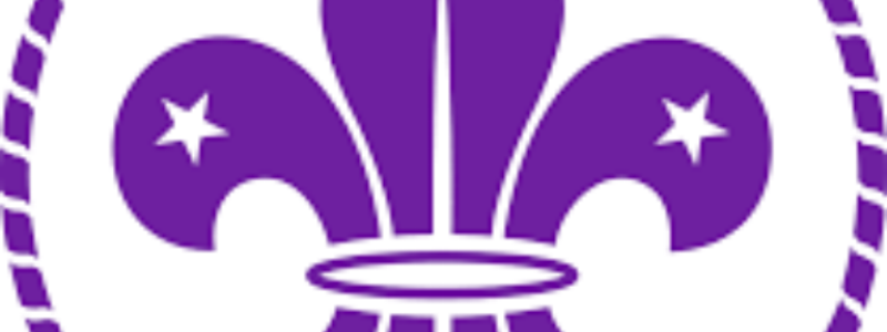 movimiento scout