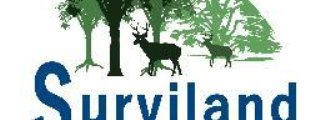 Surviland