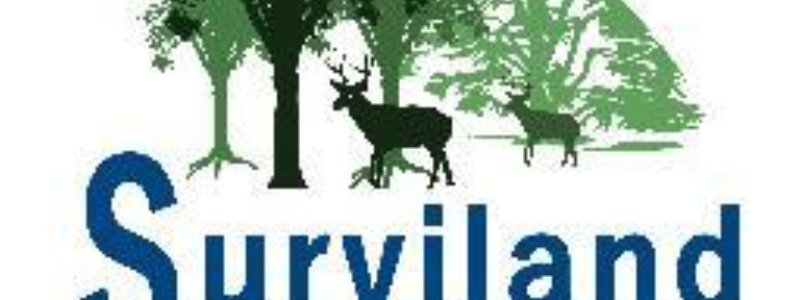 Surviland