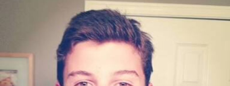 Mendes Army o Fake Fan 