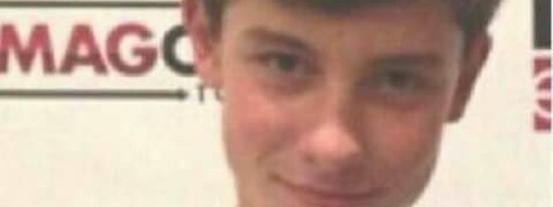 ¿Cuanto sabes de shawn?
