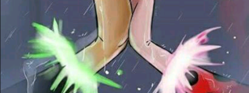 Cuanto sabes de miraculous ladybug!