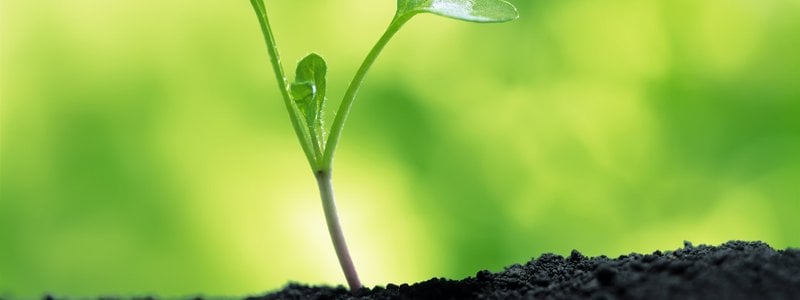 cuanto sabes del mundo?