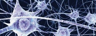 Neuronas