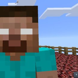 &iquest;Le temes a Herobrine? - &iquest;Qu&eacute; tanto sabes de Minecraft?