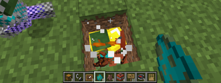 cuantos sabes de Minecraft V: