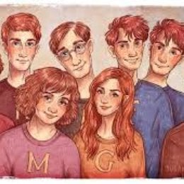 QUINTO LIBRO &iquest;Cu&aacute;l de los hermanos Weasley est&aacute; en contra de Harry? - &iquest;CU&Aacute;NTO SABES DE LOS LIBROS DE HARRY POTTER?