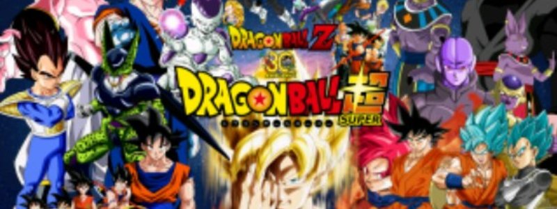 Dragon ball quiz