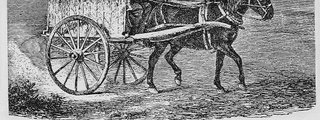 transportes