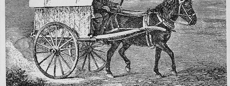 transportes