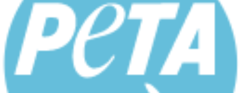 Cuanto sabes de peta