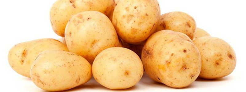 PATATA