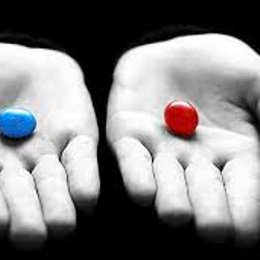 &iquest;que prefieres? - eres bobo? miralo aqui!!!