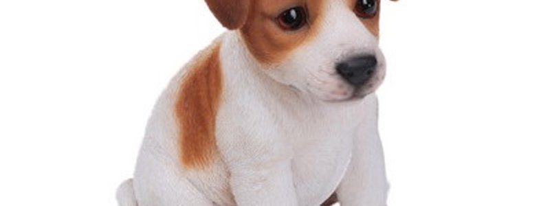 que perro eres