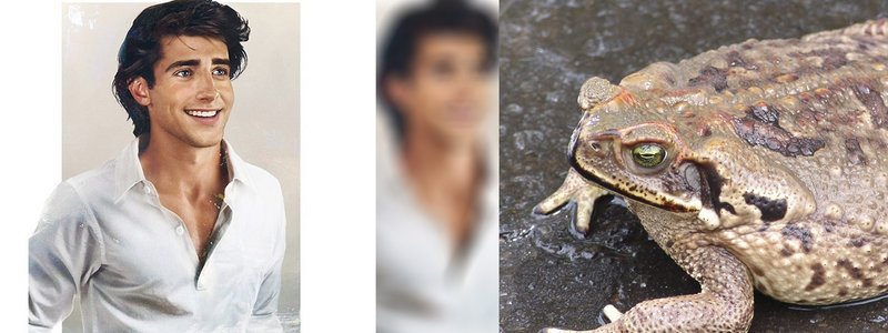 ¿Estas con un PRINCIPE o con un SAPO?