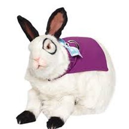 quien es colosso - cuanto sabes sobre los the thundermans 