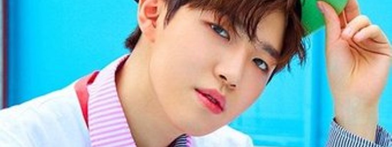 Quien de Wanna One es tu chico idea 