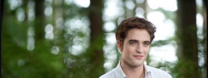 Eres chica Harry Potter o Edward Cullen 